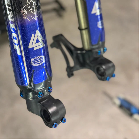 Fork Guard Titanium bolts